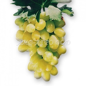 Брестовица